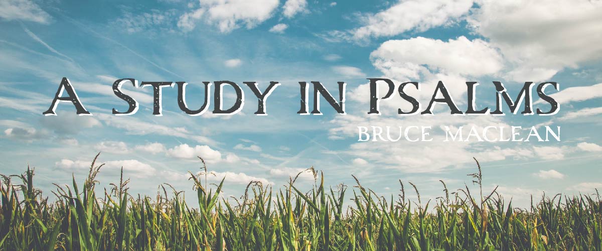 A-Study-In-Psalms-Banner